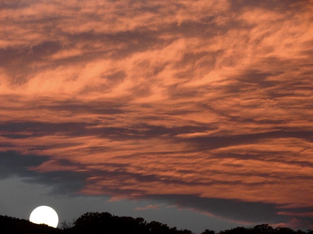 The morning moonset is washed in apricot clouds.  (Photo by Margaret Reckling)