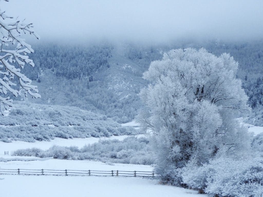 A winter storm clearing in Woody Creek, Colorado. (Photo by Margaret Reckling)