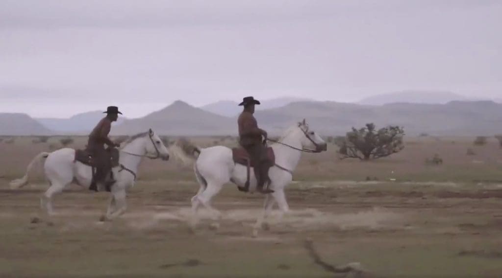 Cowboys rode through the desert and through the Third Ward. 