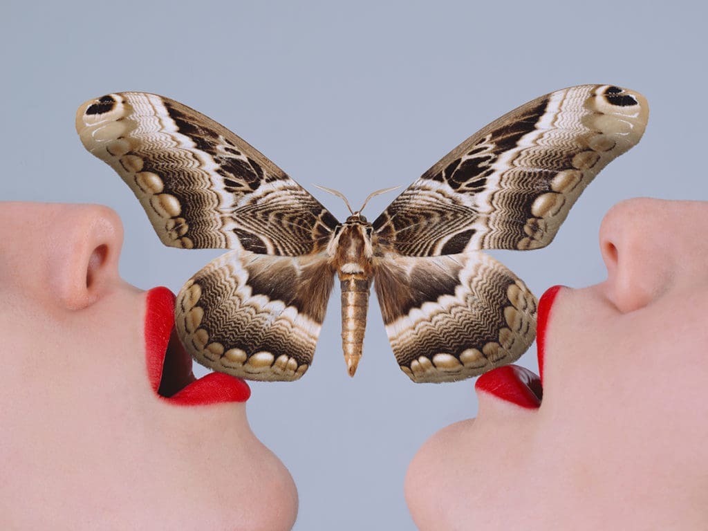 Tyler Shields is returning to Dallas for his exhibit No Filter.