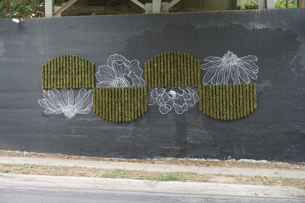 A living moss mural by local muralist Alli Koch and Arrowwood Designs on Hall Street. Photo by Megan Ziots
