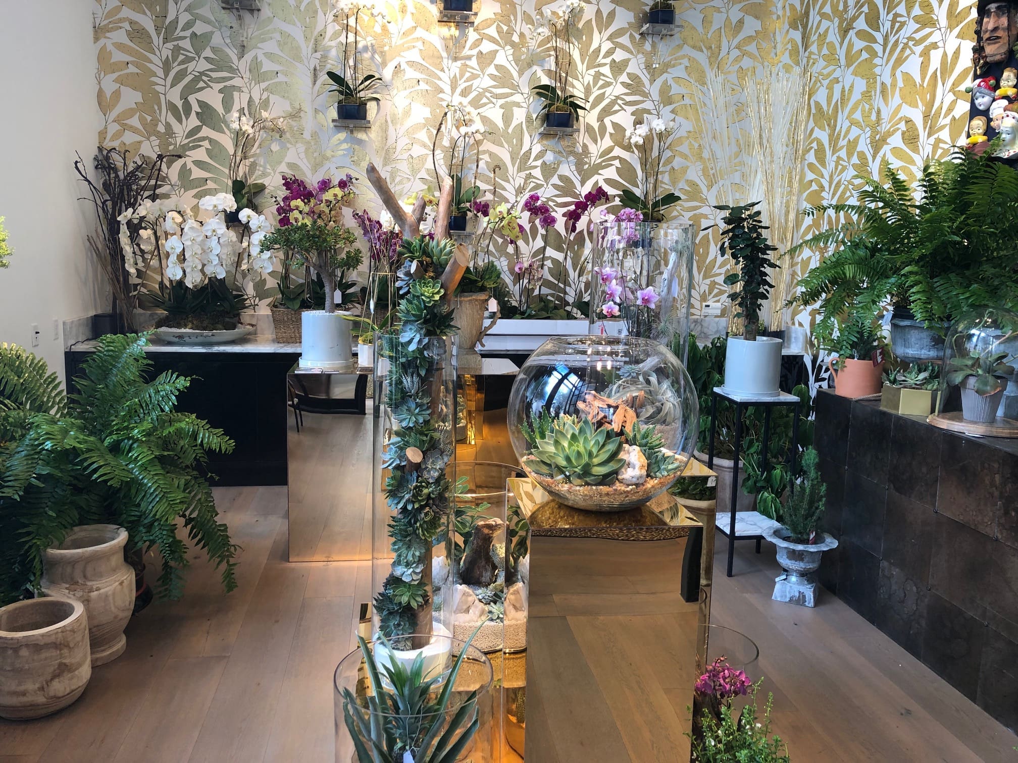 The orchid room at Avant Garden Houston where orchids, violets and modern terrariums flourish.  (Photo by Shelby Hodge)