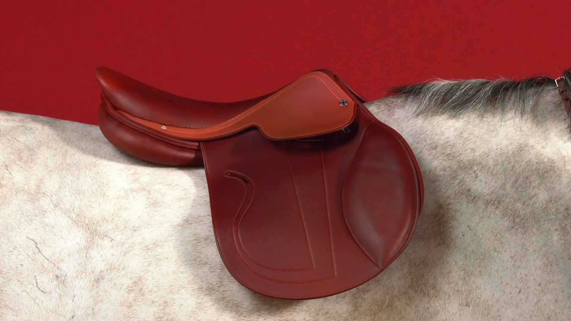 You don't really need a bespoke saddle — but don't you want one?