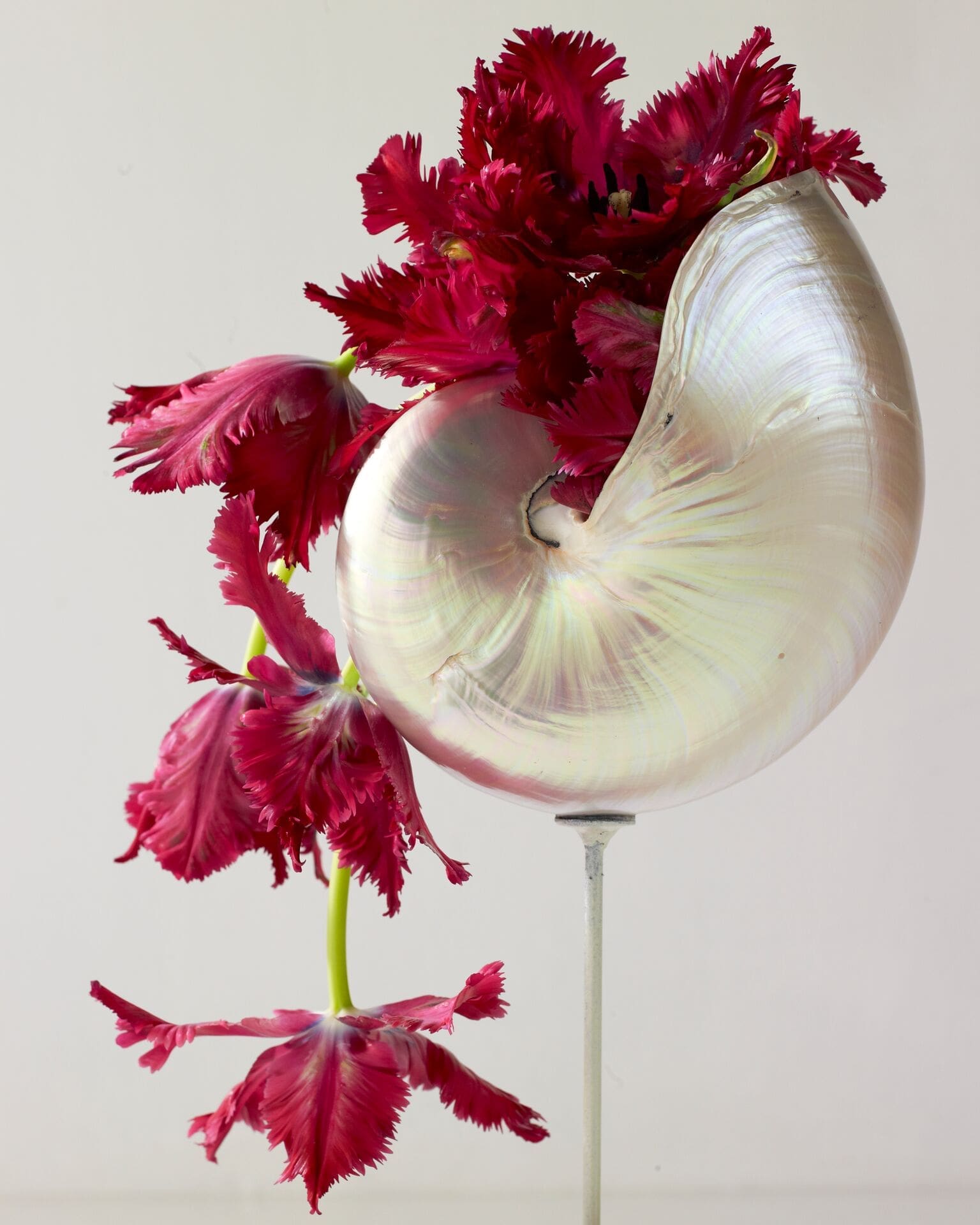 integrated ROD avant garden shell