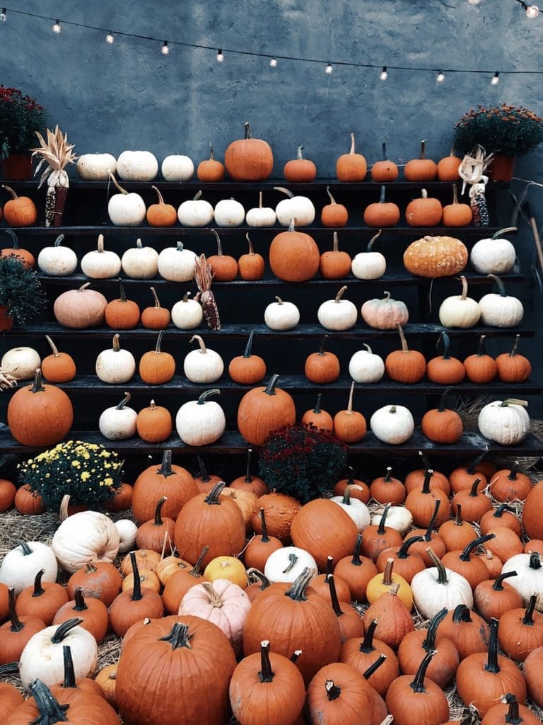 These Halloween events will have you spellbound. 