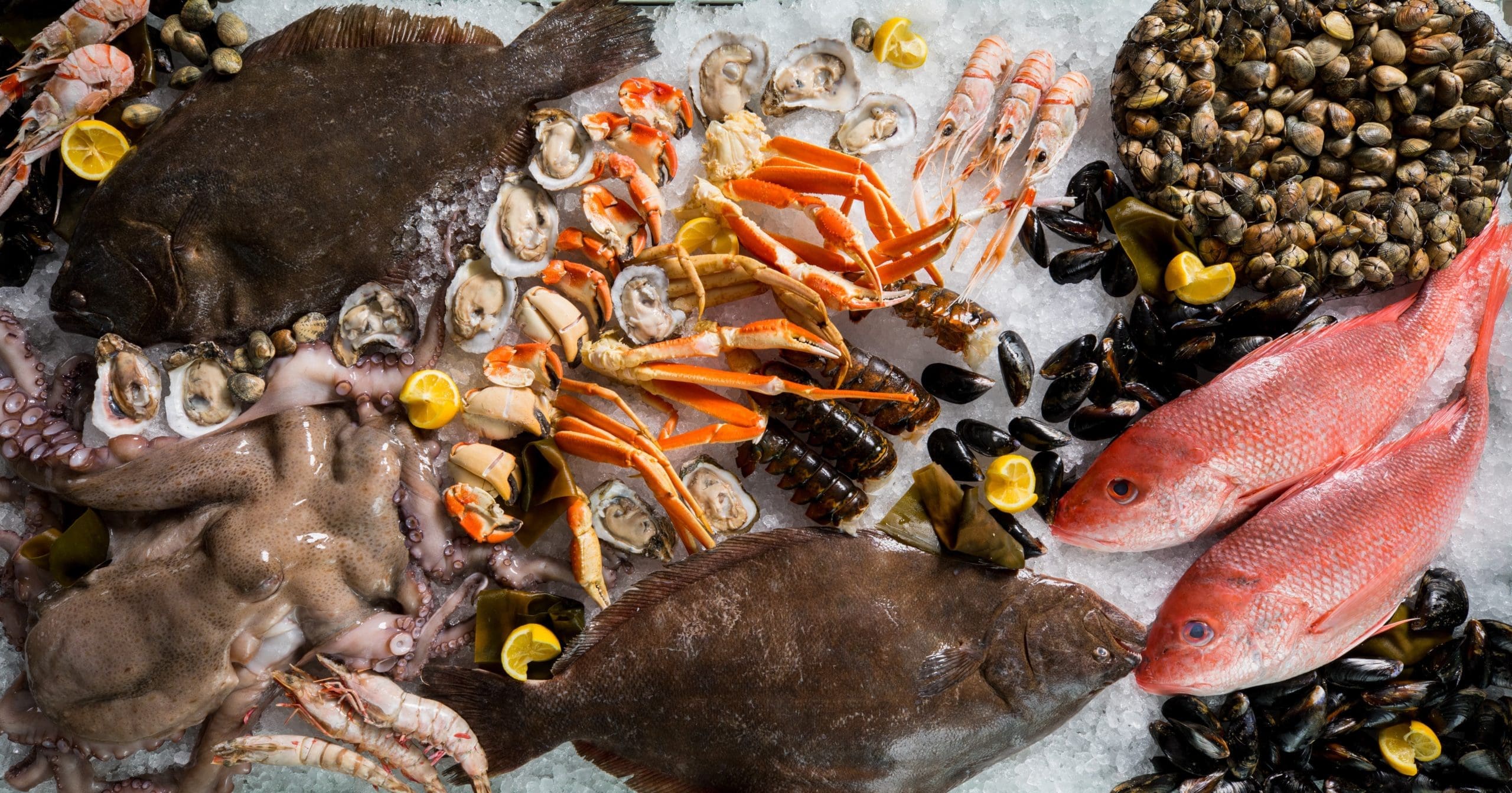 Seafood display (Photo by Shannon O’Hara)