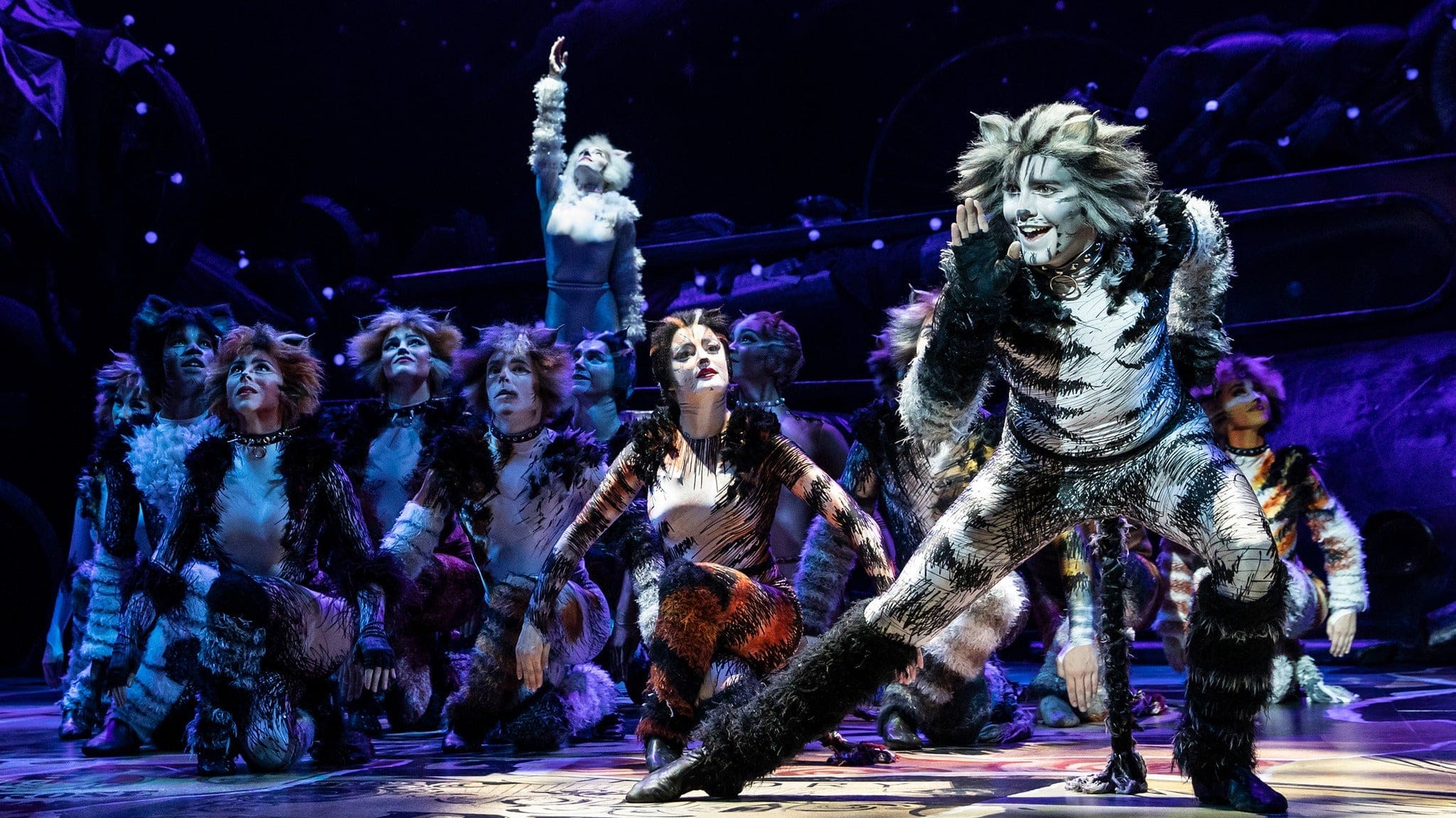 Head over to Music Hall at Fair Park to see CATS for the next two weeks. 