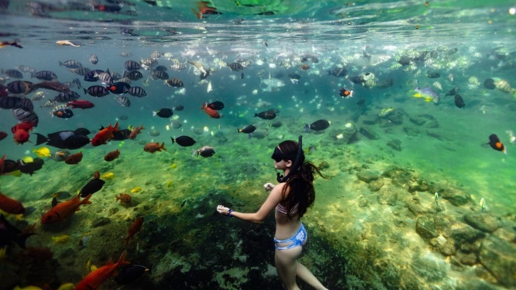 Inside an Austin Billionaire’s Lavish Hawaii Resort Wonderland — Your Guide to Hualalai