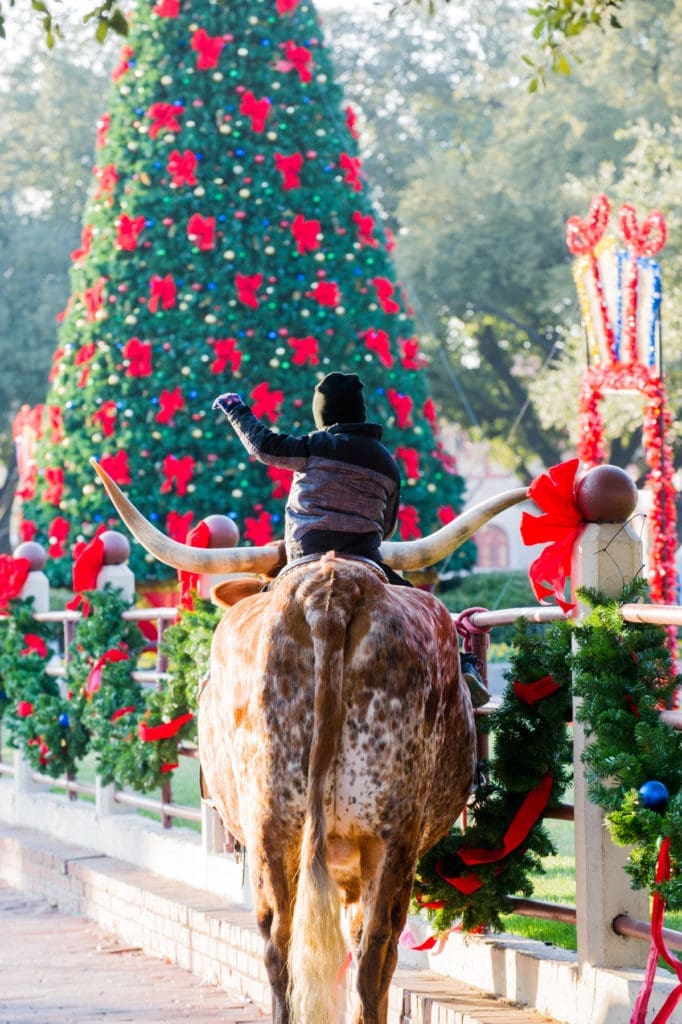 Christmas is all about holiday traditions.