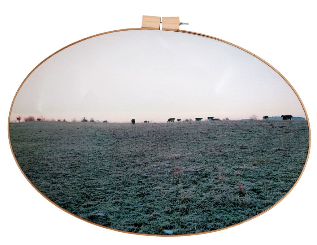 Letitia Huckaby's "Cattle on a Thousand Hills," 2019. The Fort Worth-based artist will be Foto Relevance's headliner timed to FotoFest at the gallery's new 4411 Montrose space. 