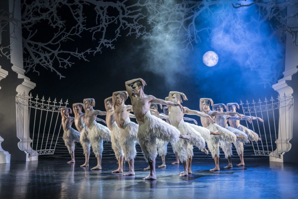 A <em>Swan Lake</em> Worth Flying For — Tracking the World’s Most Famous Ballet Birds