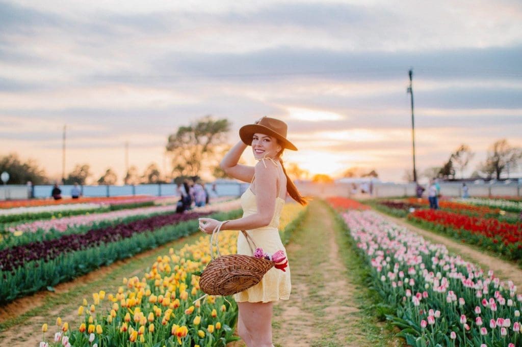 San Antonio’s New Tulips Wonderland Comes From Dallas’ Flower Wizards — Fields of Joy Await