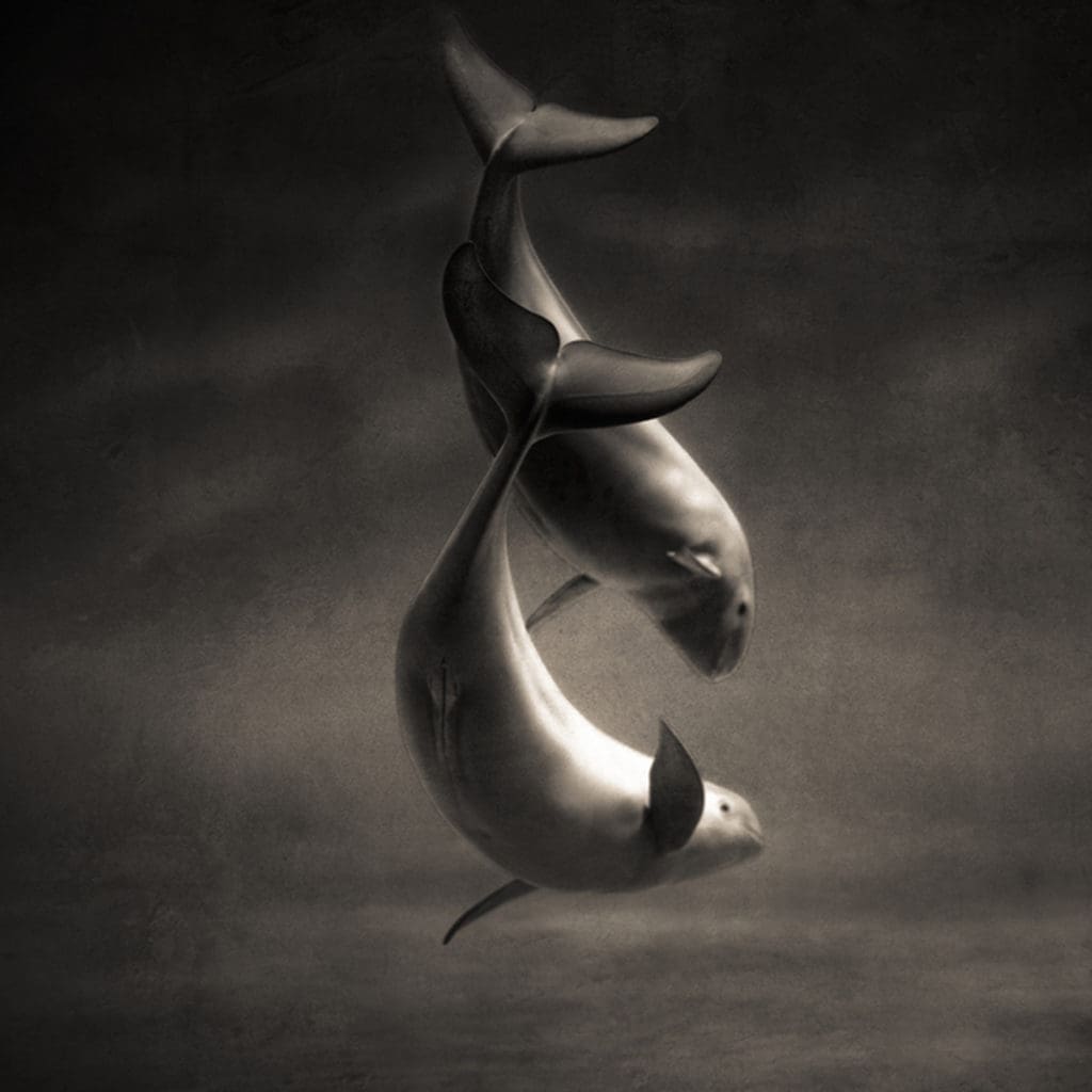 Keith Carter's "Only a Little Planet," 2019