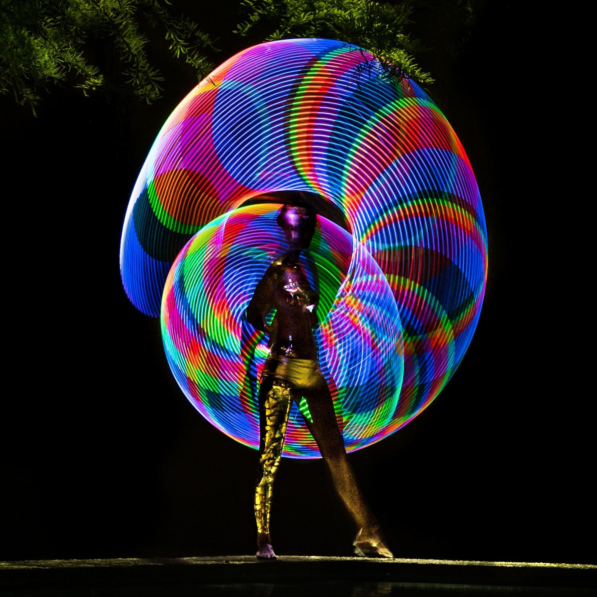 Foto Fest
