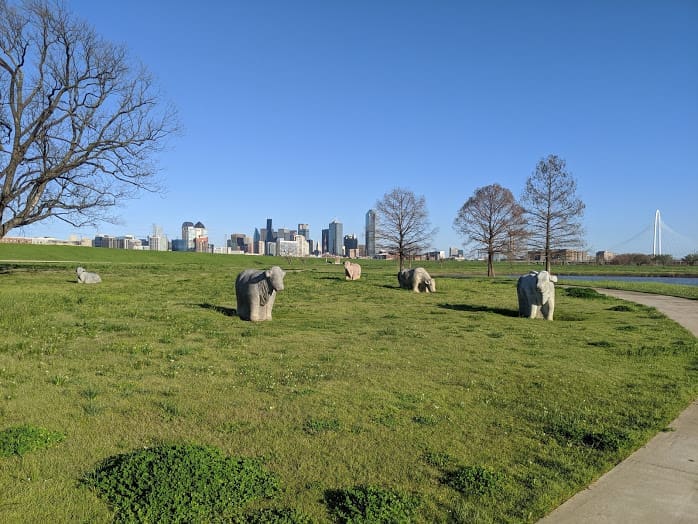 You can see some cow sculptures on the Trinity Skyline Trail. (Photo by Madison Mask)