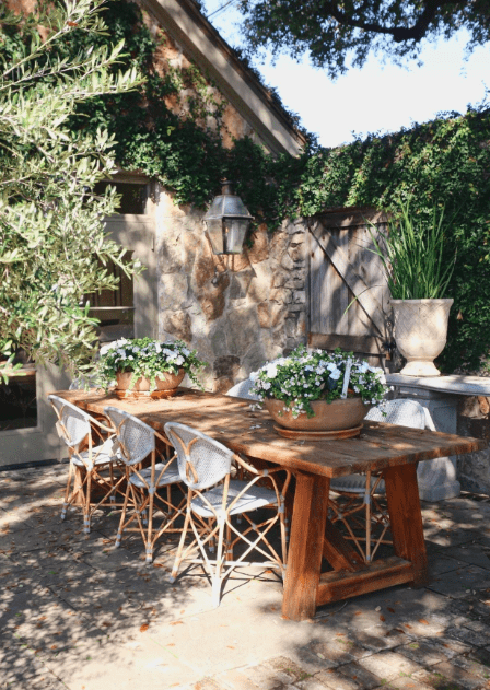 Growing Your Own Garden — How to Make Your Own Outdoor or Indoor Oasis Blossom