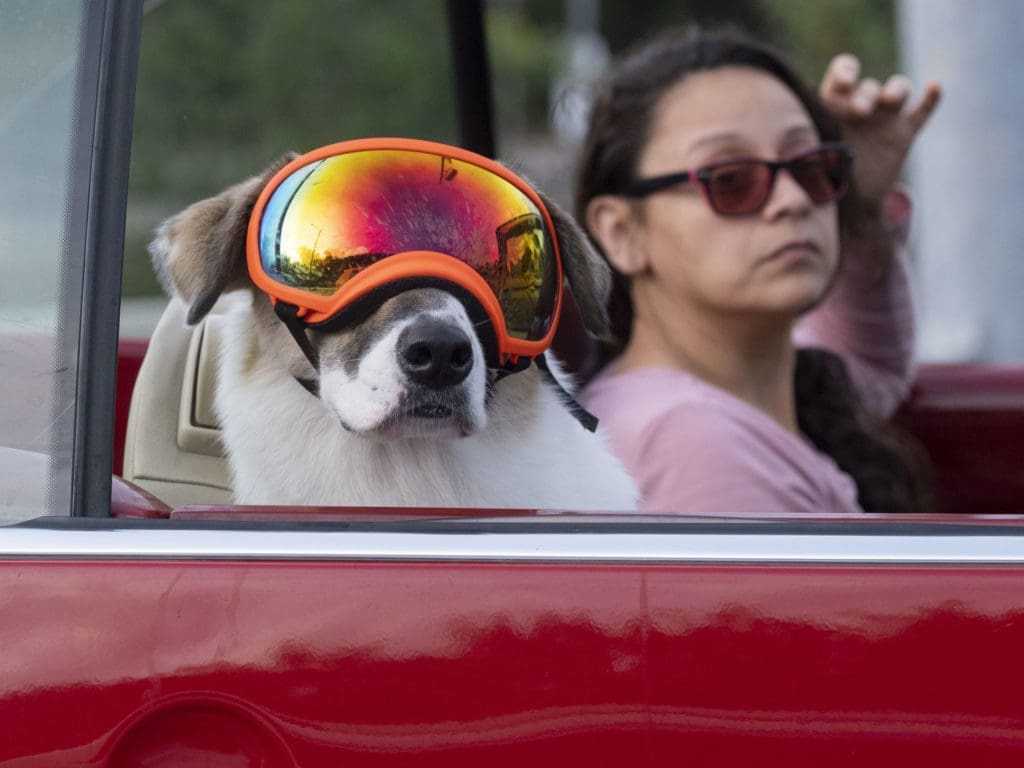 Surprising Scenes of Houston’s New Coronavirus Normal — 40 Images That Show the City in a New Light
