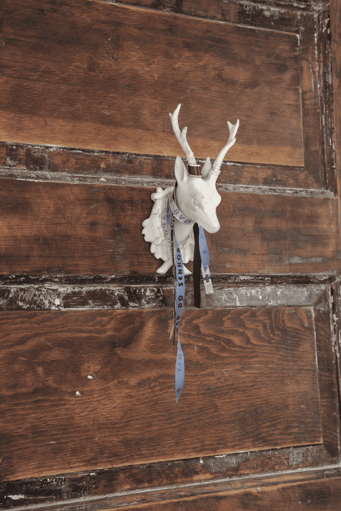 Cynthia Mulcahy and Robert Hamilton, published July 2013. Photographed by James Bland. At the Oak Cliff home of curator Cynthia Mulcahy and artist Robert Hamilton, cast deer head by Cody Foster from Grange Hall, with Bahian religious ribbons brought back from sabbatical trips to Rio de Janeiro.