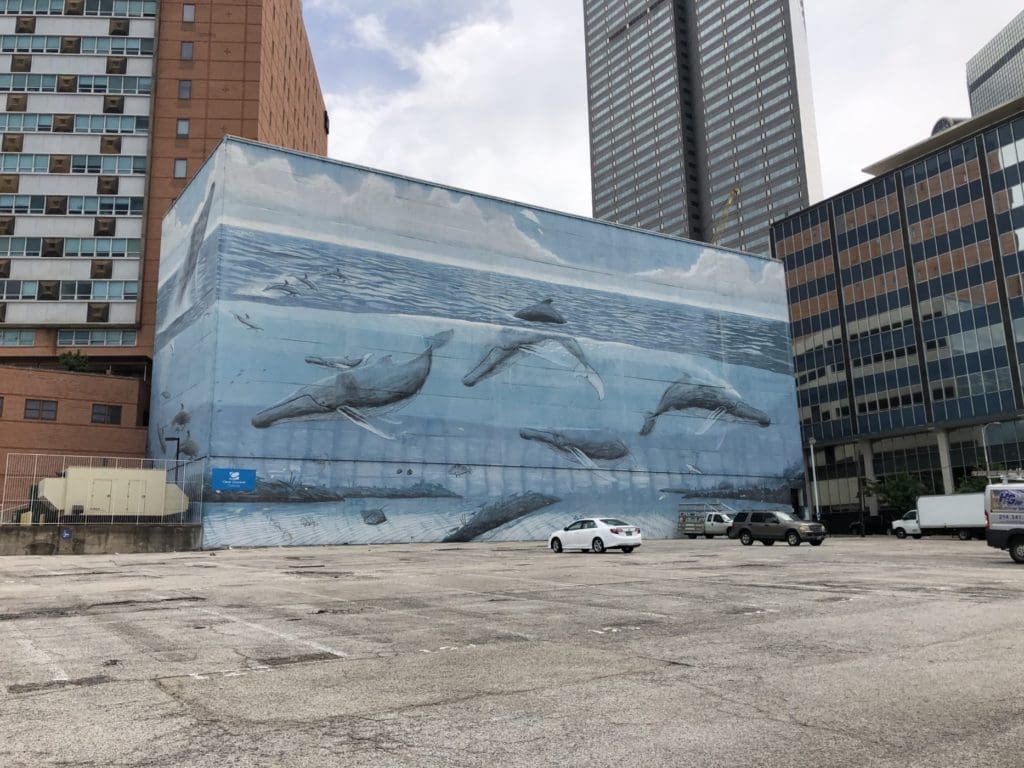 Wyland's Whaling Wall was recently uncovered in downtown Dallas after ads were taken down during the pandemic. (Photo by Megan Ziots)