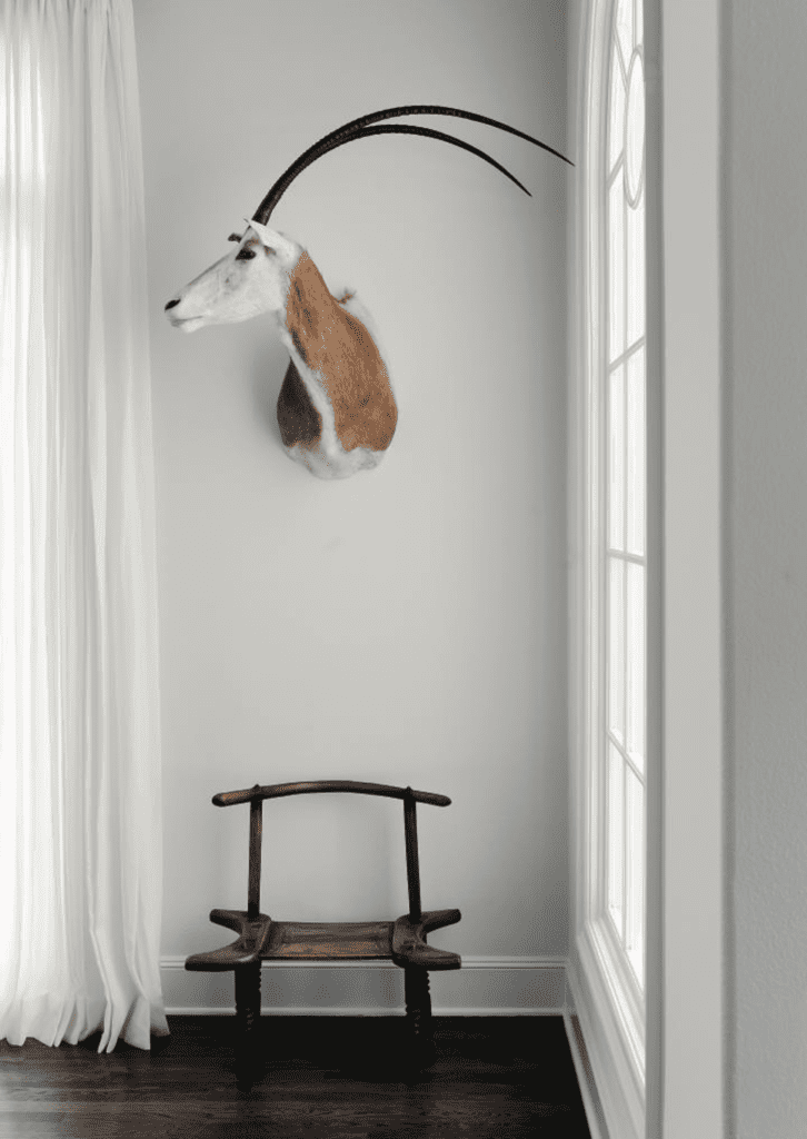 Renea Abbott and Greg Manteris, published July 2102. Photographed by Jack Thompson. In designer Renea Abbott and husband Greg Manteris’s Austin home, antelope taxidermy mount from Lewis & Maese Auction House. Small African chair bought at a Santa Fe flea market. 