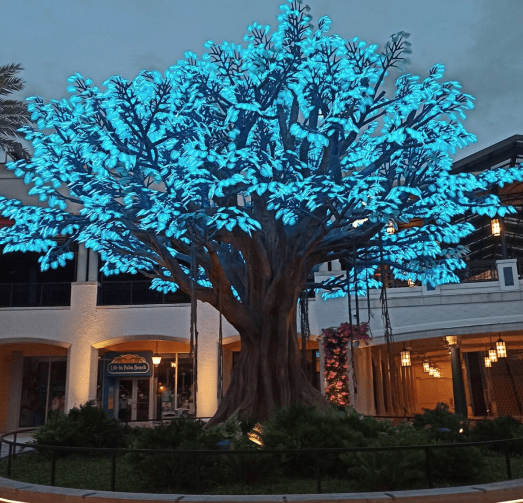 The Wishing Tree in Rosemary Square in West Palm Beach (Instagram photo @wpblifestyle)