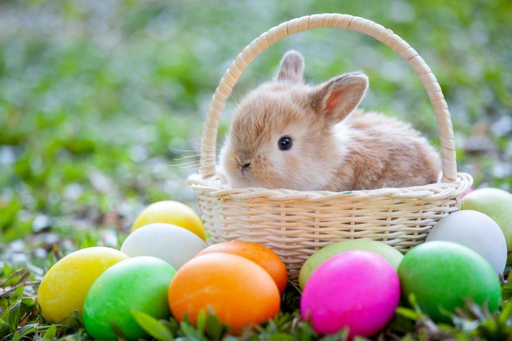 Houston’s Best Easter Takeout and Delivery Restaurant Options