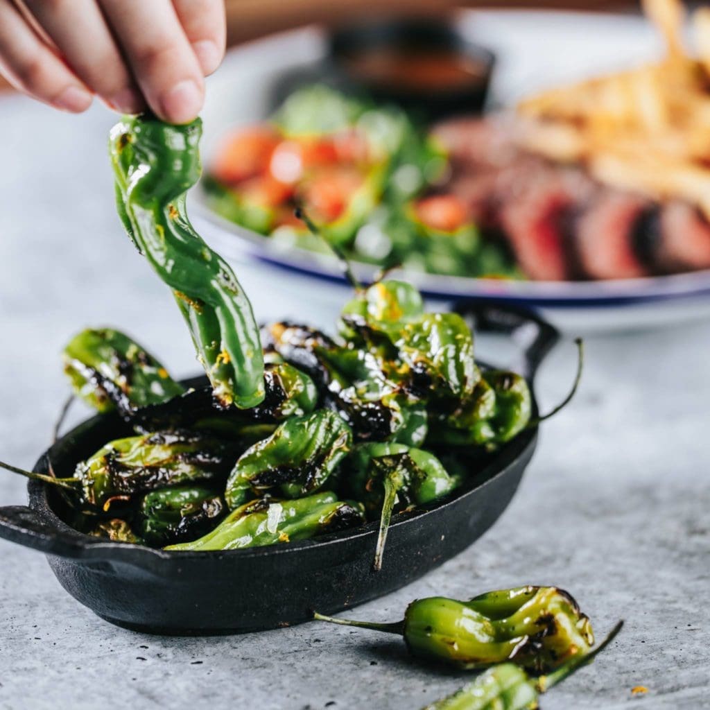 The shishito peppers are one of the best apps at JAXON.