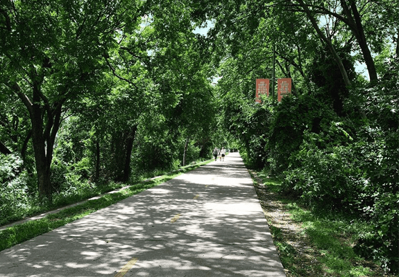 What is Dallas’ Best Running Trail?