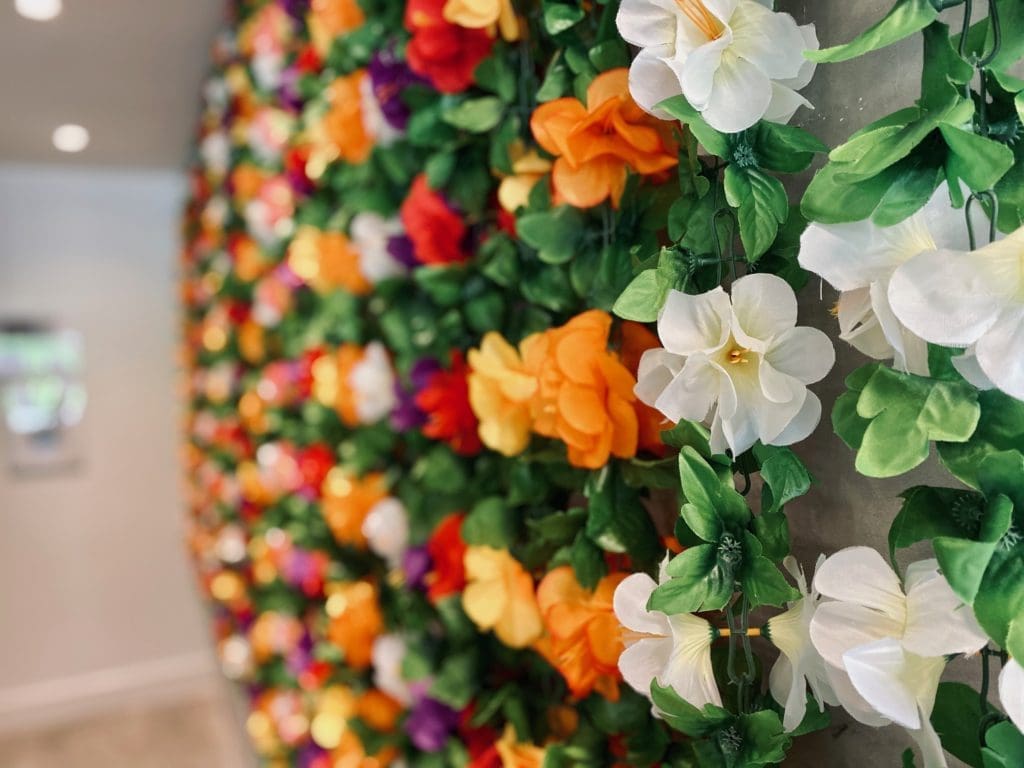 One recurring theme of most Salsa Limon's are walls lined with colorful flowers. (Rosalia Ramirez Antonio).