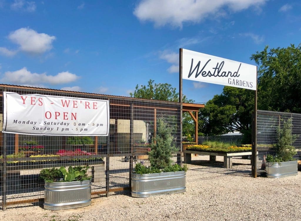 Forgotten Part of Fort Worth Being Revived With a Green Wonderland — Westland Gardens is Coming to Life With Legendary Trees