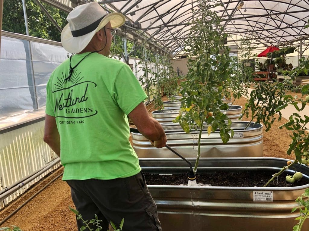 Vertical trough gardens grow Westland peppers and tomatoes. (Photo by Courtney Dabney).