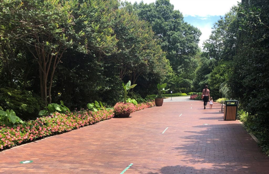 With New Signage and Mandatory Reservations, the Dallas Arboretum Welcomes Visitors Again