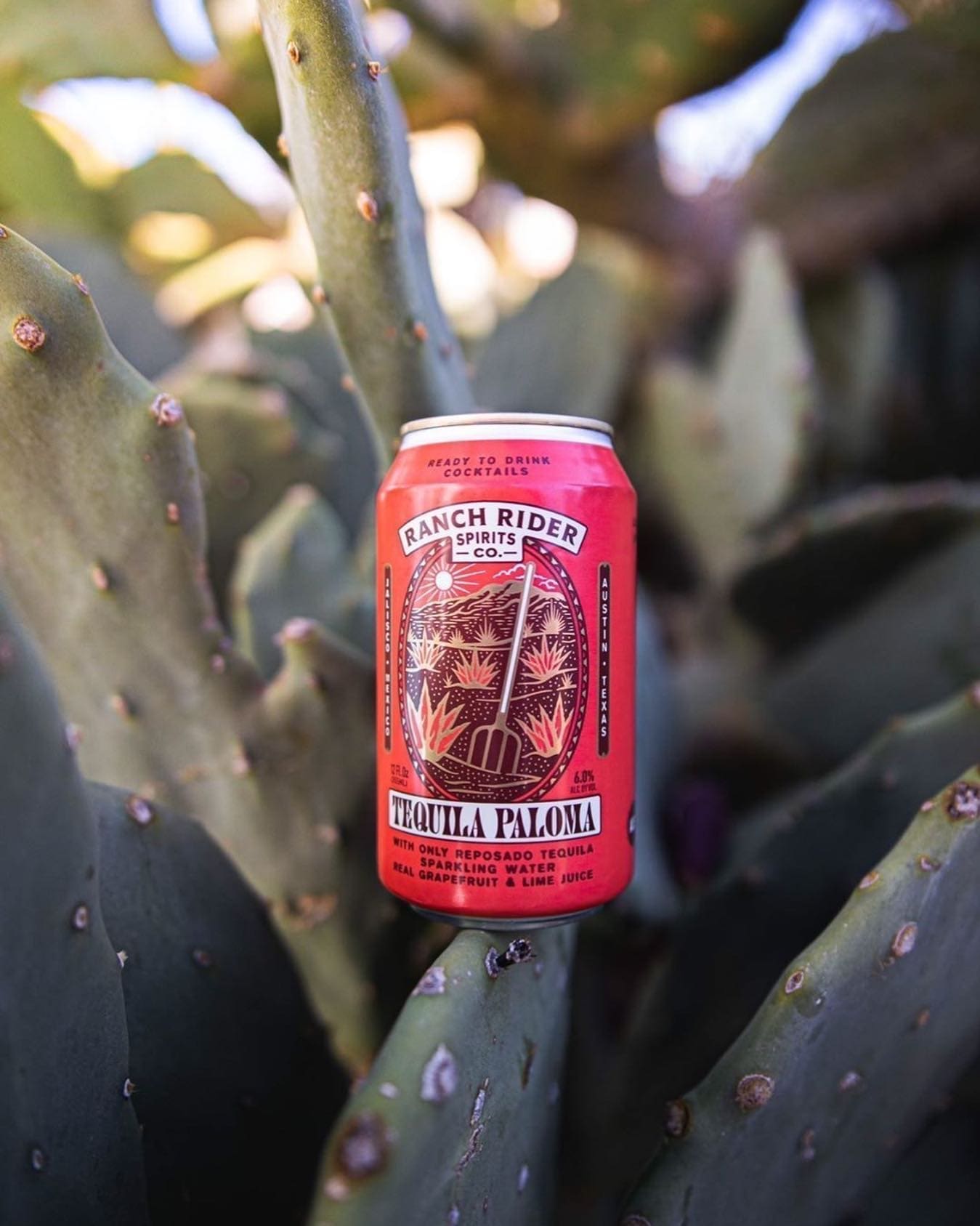Ranch Rider Spirits