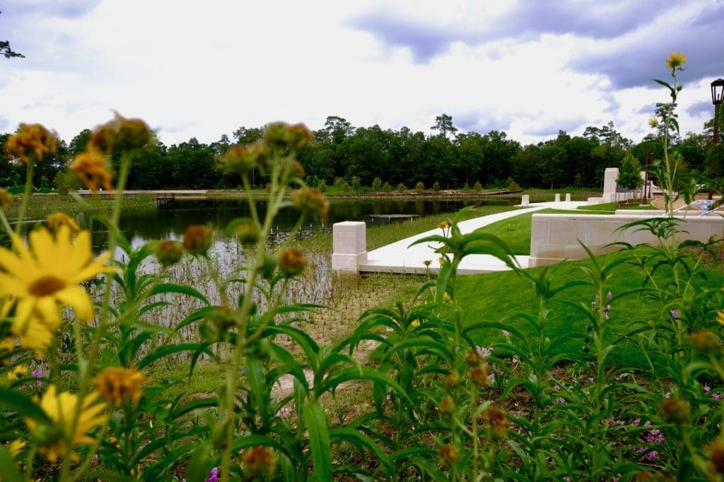 Wildlife is abundant in the Clay Family Eastern Glades in Memorial Park. (Photo by Memorial Park Conservancy)