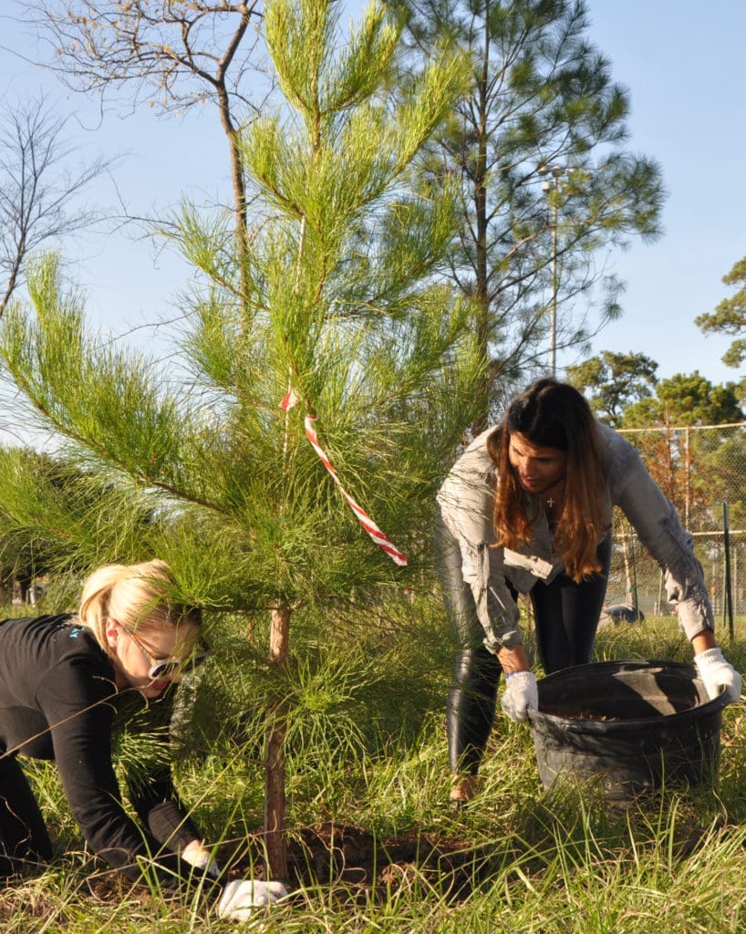 Trees For Houston volunteers helping keep Houston green. (Trees For Houston photo)