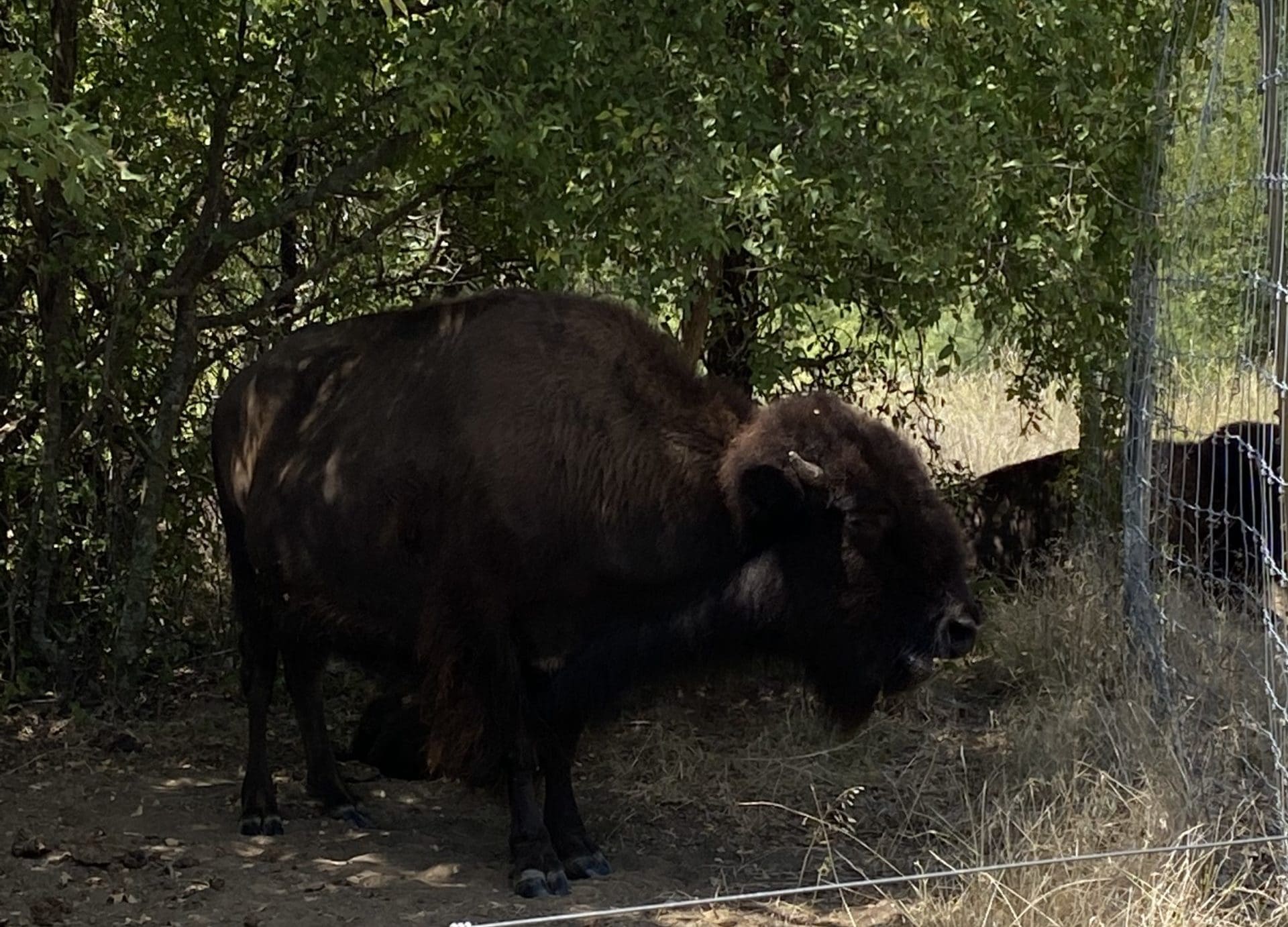 Fort Worth Nature Center