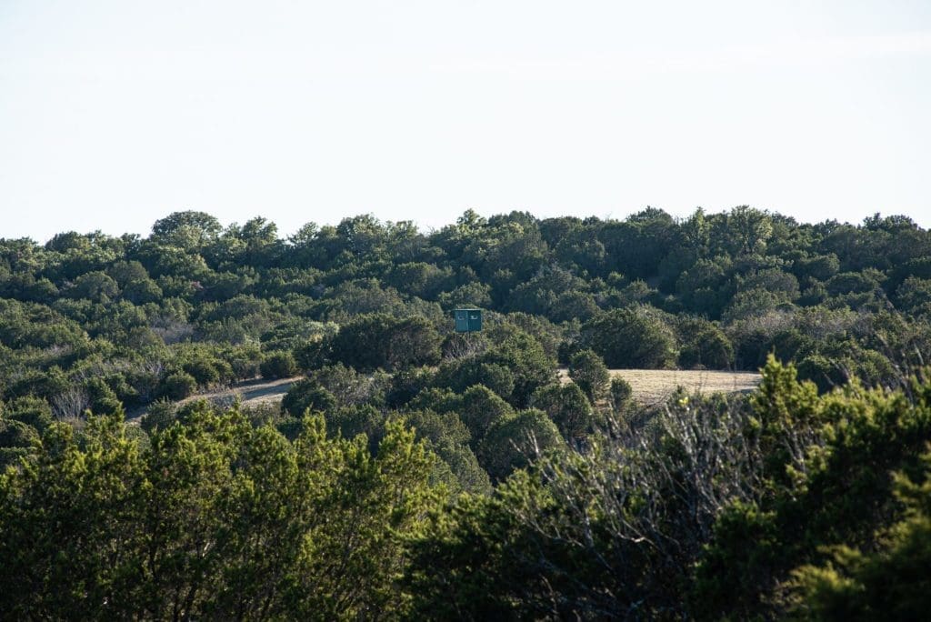 7D Ranch is known for the beauty of its elevations.