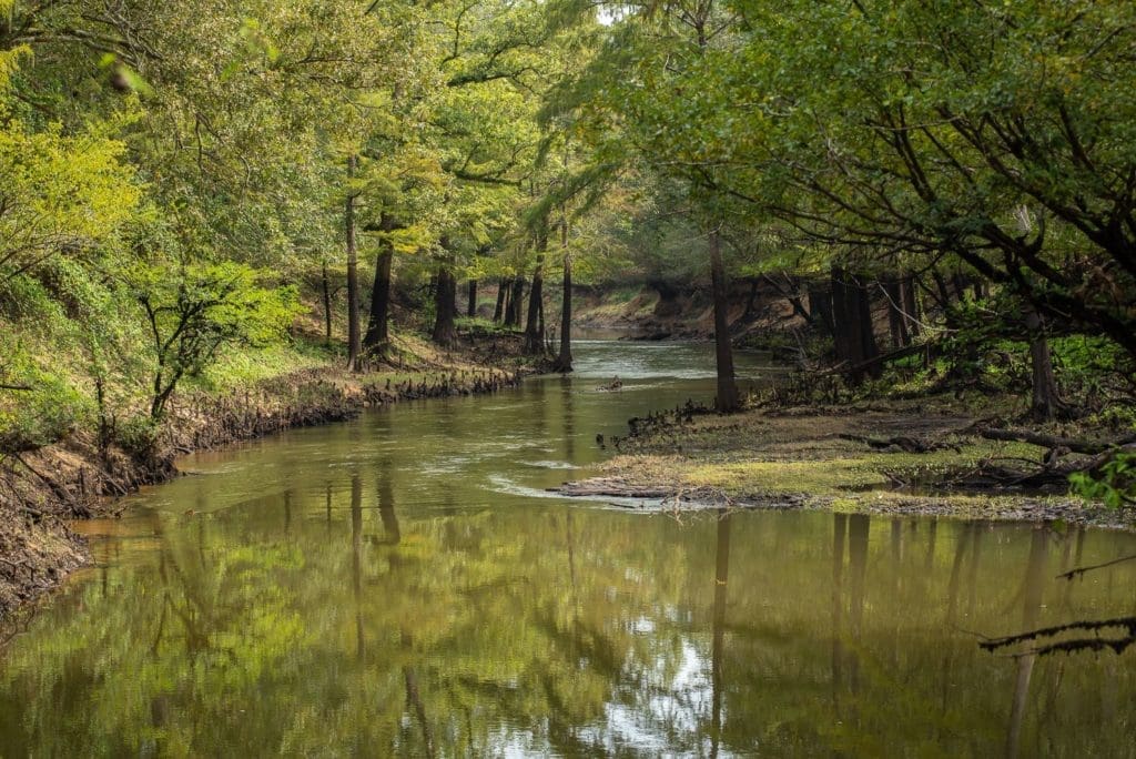 Big Cypress Bayou River Ranch includes a massive 75-acre lake.