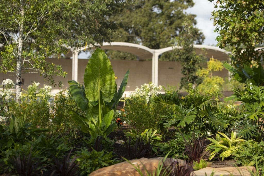 The shaded alcoves stretching behind the Tropical Heart in the Global Collection Garden. (Photo by Michael Tims)