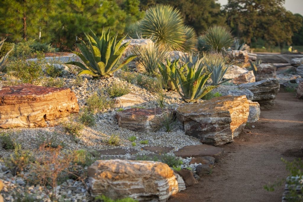 The Arid Valley in the Global Collection Garden (Photo by Michael Tims)