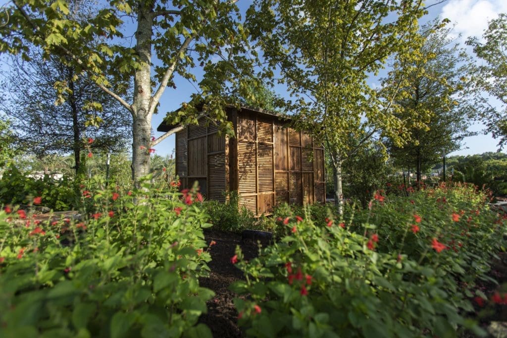 The Curiosity Cabin in the Upland Forest section of the Global Collection Garden. (Photo by Michael Tims)