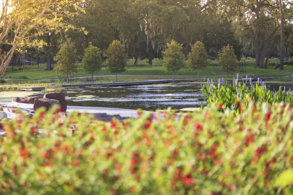 Brand New Houston Botanic Garden Brings an Outdoor Wonderland to America’s Fourth Largest City