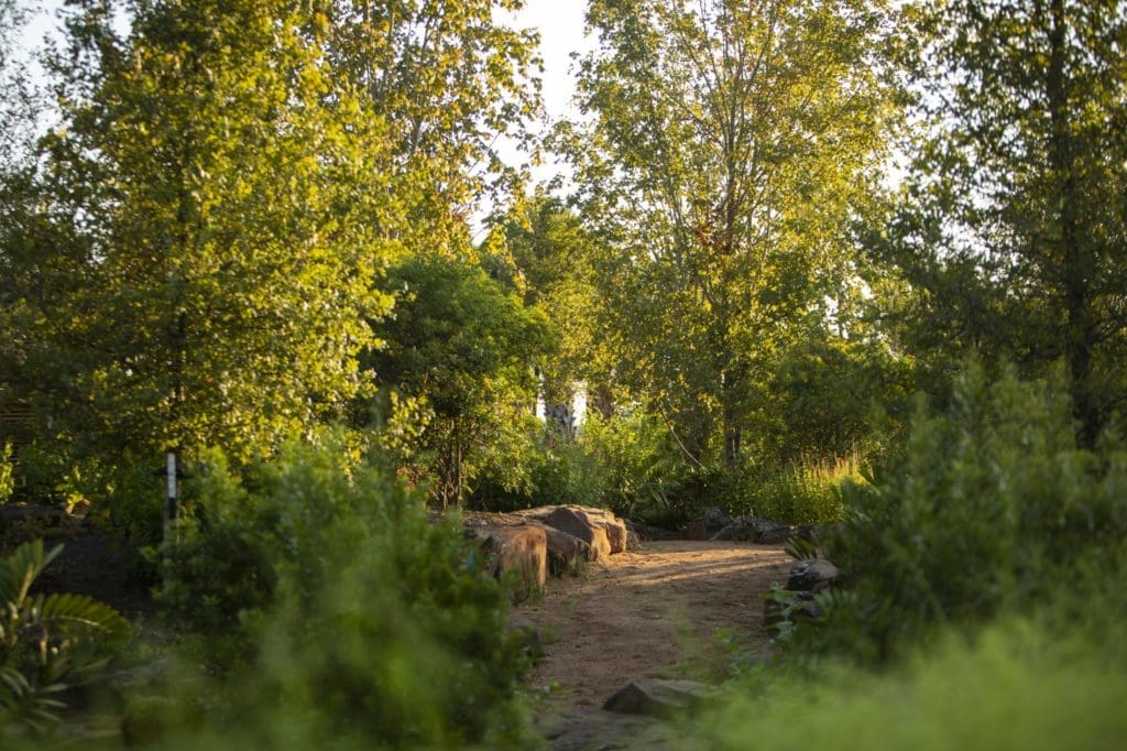 The Upland Forest in the Global Collection Garden at Houston Botanical Garden which opens to the public on Friday. (Photo by Michael Tims)