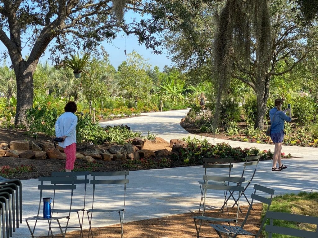 The Pine Grove leads visitors to the Global Collection Garden. (Photo by Shelby Hodge)