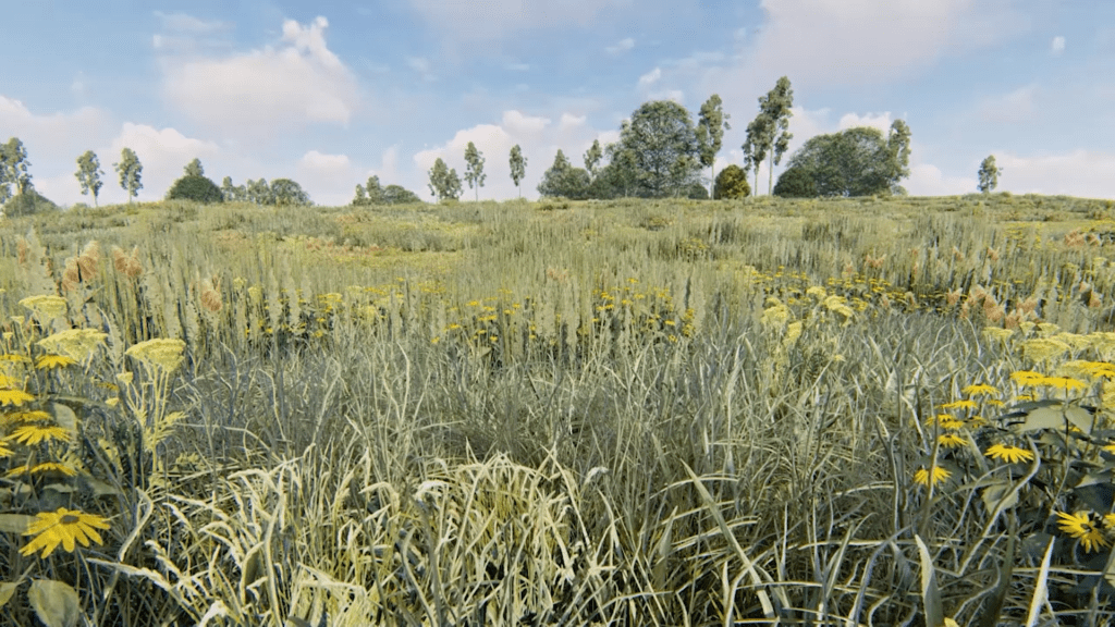 Approximately 40 acres of the near 100 acre Land Bridge and Prairie project will be converted to coastal prairie terrain. (Courtesy of Nelson Byrd Woltz)