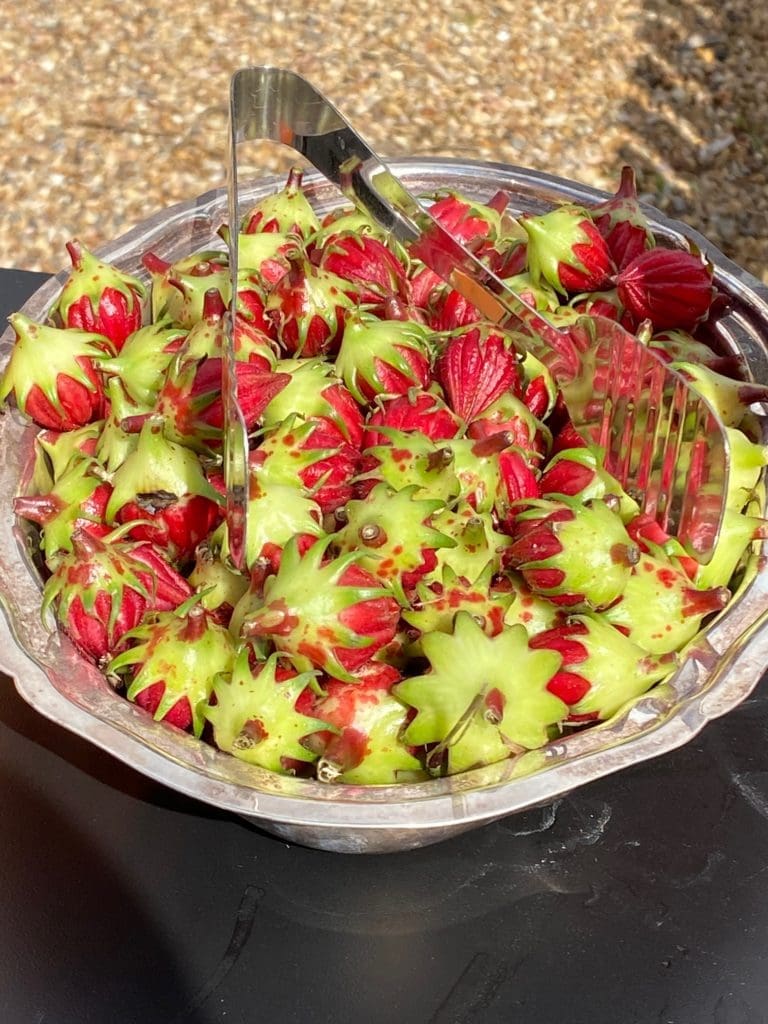 A tasty treat at Hope Farm's Fashion in the Fields outing benefiting Recipe for Success.  (Photo by Shelby Hodge)