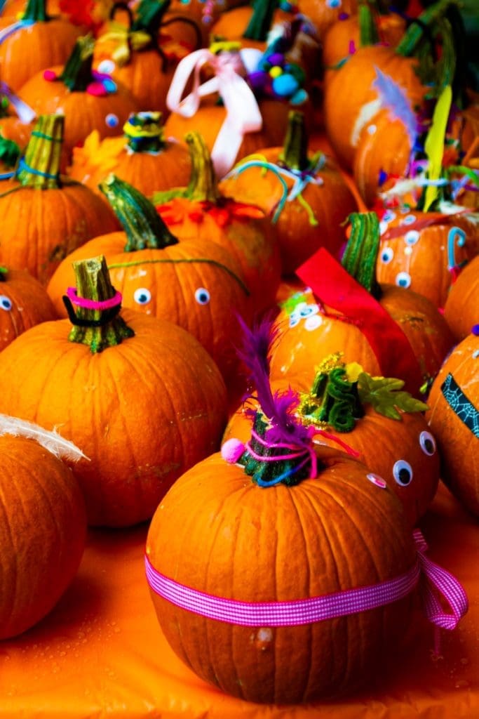 Mochi Donuts, a Vegan Fall Bonanza and Buffalo Bayou Park Mania — the Best Things to Do in Houston