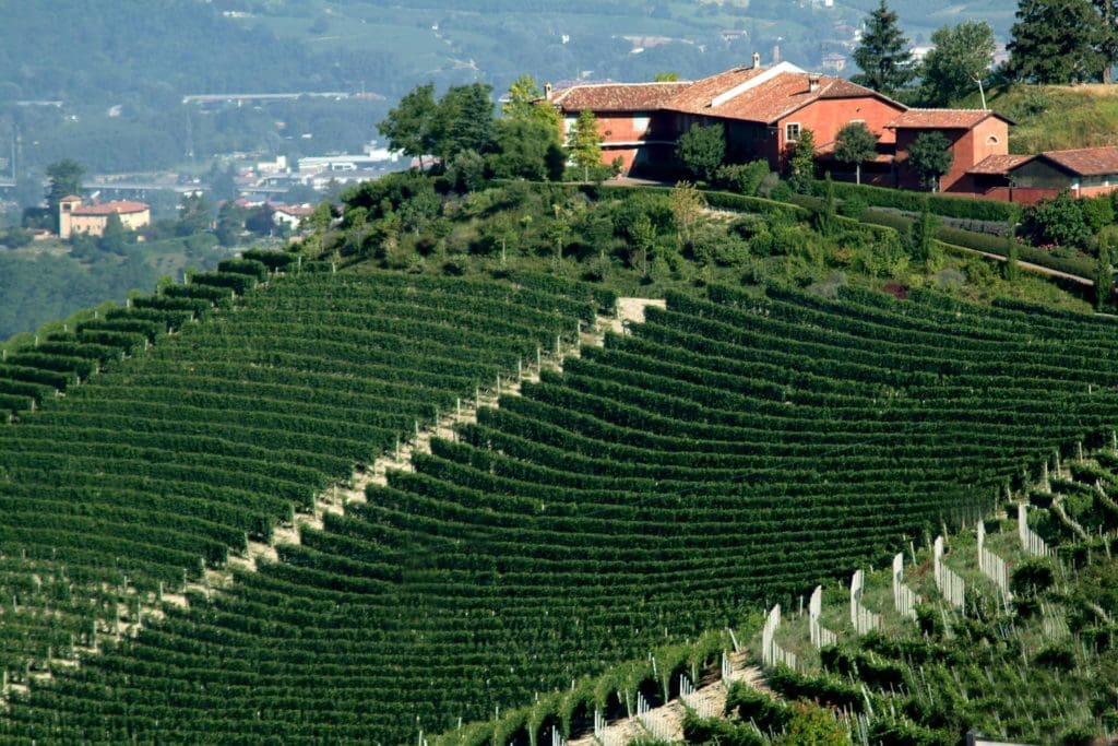 Your Weekly Wine Pick — This Fine Chardonnay From a Storied Italian Family More Than Stands Up