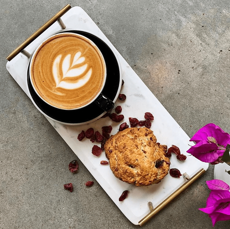 Houston’s 16 Best Coffee Shops — Where to Find Your Perfect Cup