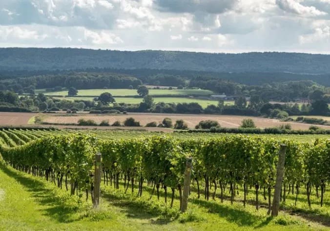 Nyetimber